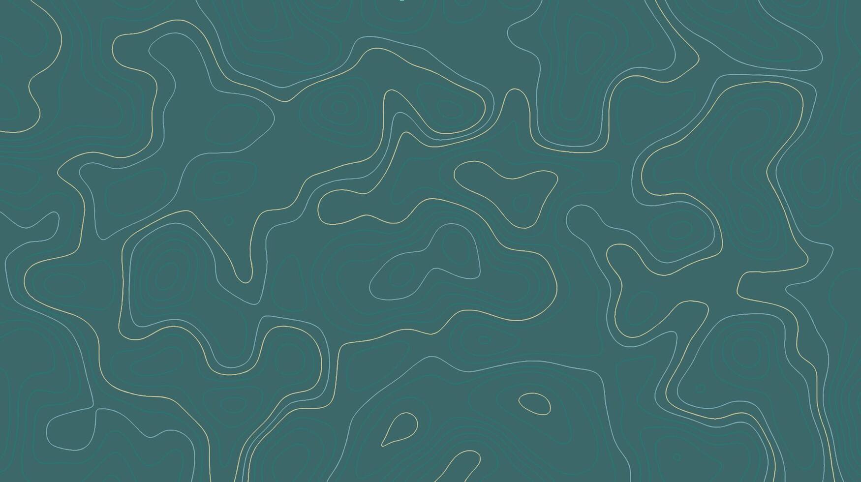 Topographic Map Background vector