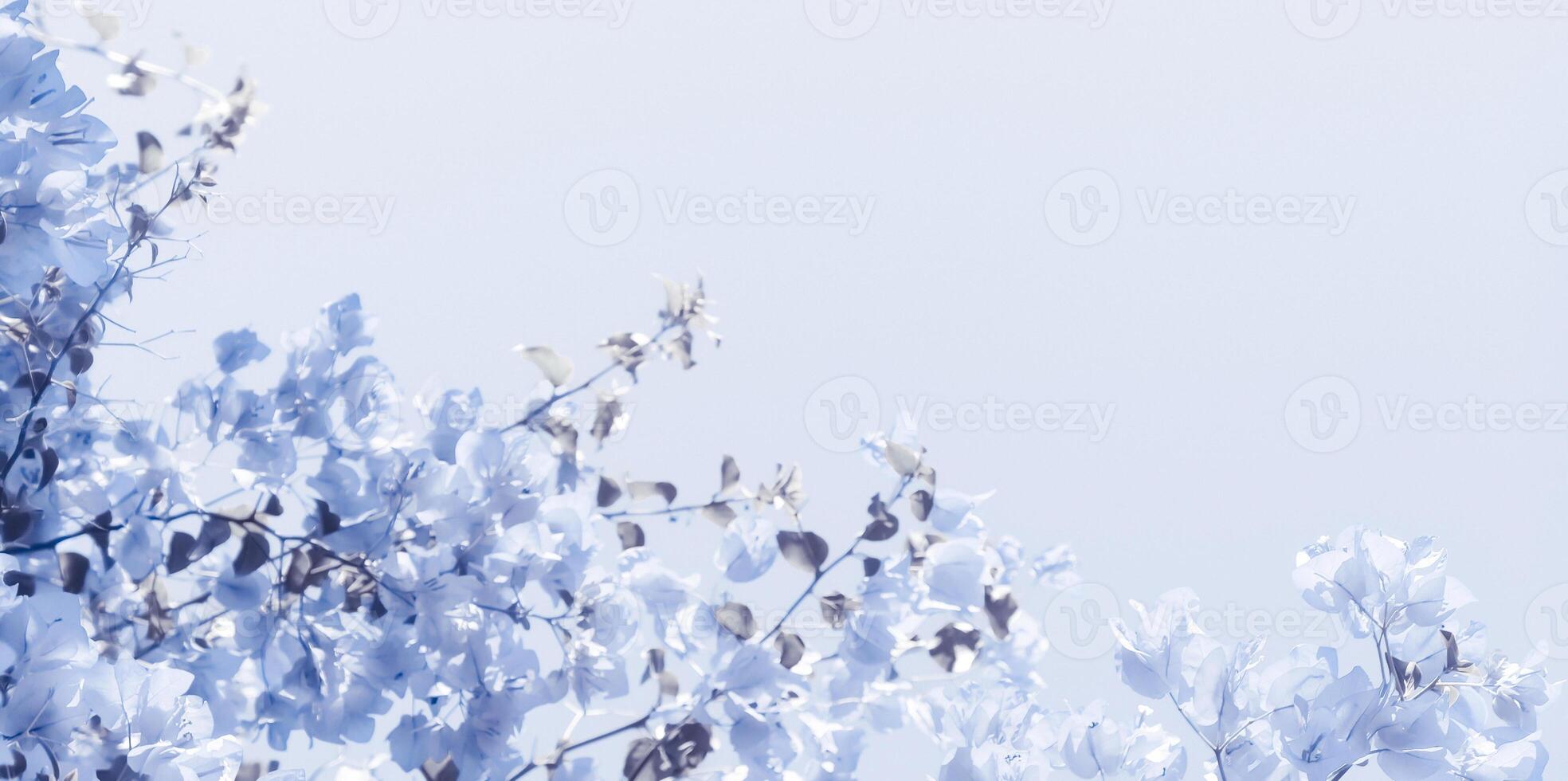 Blue floral composition photo