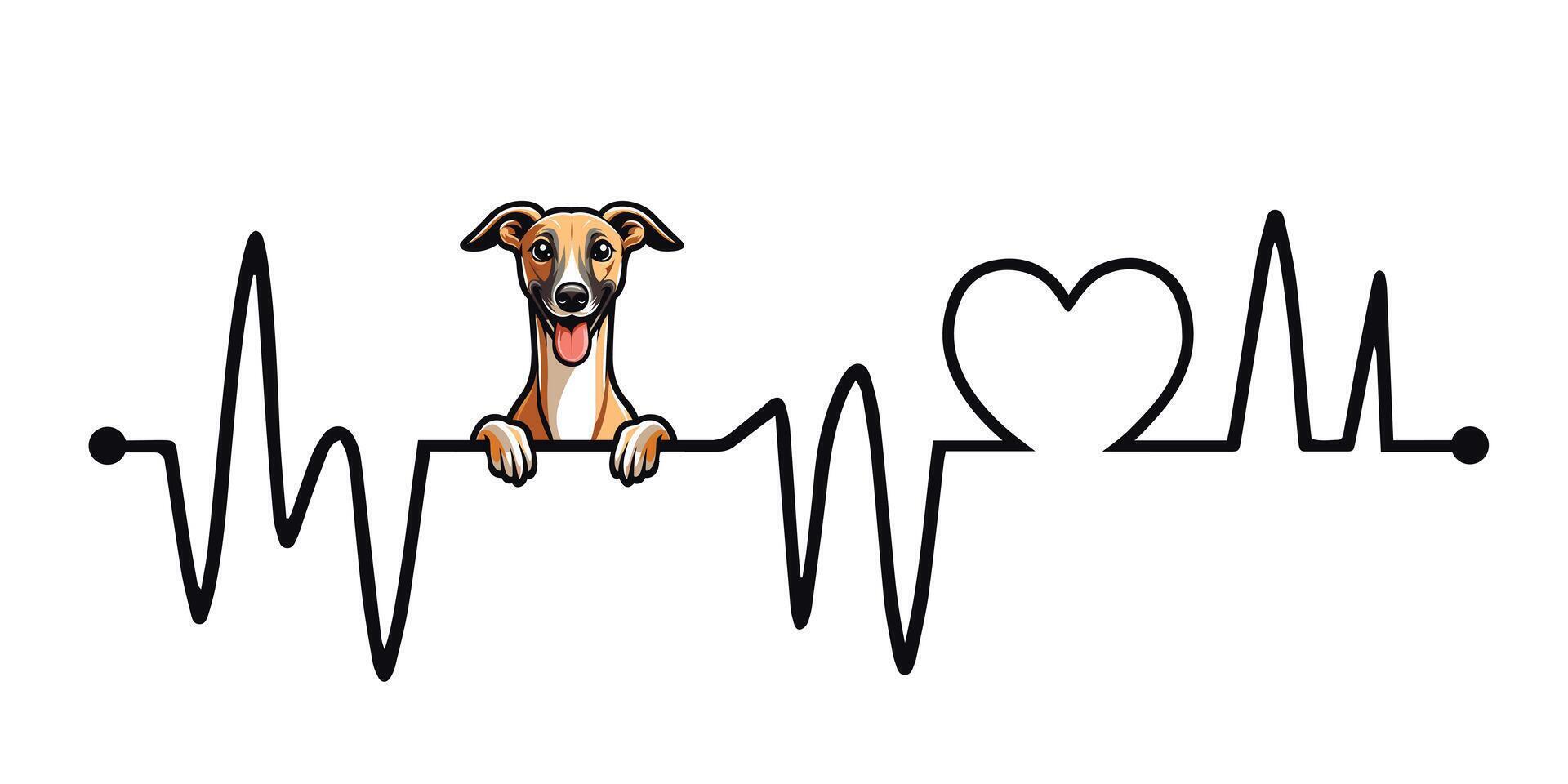Heartbeat line with Whippet Dog Peeking - Dog and Cardiogram wave with Heart Love isolated illustration vector