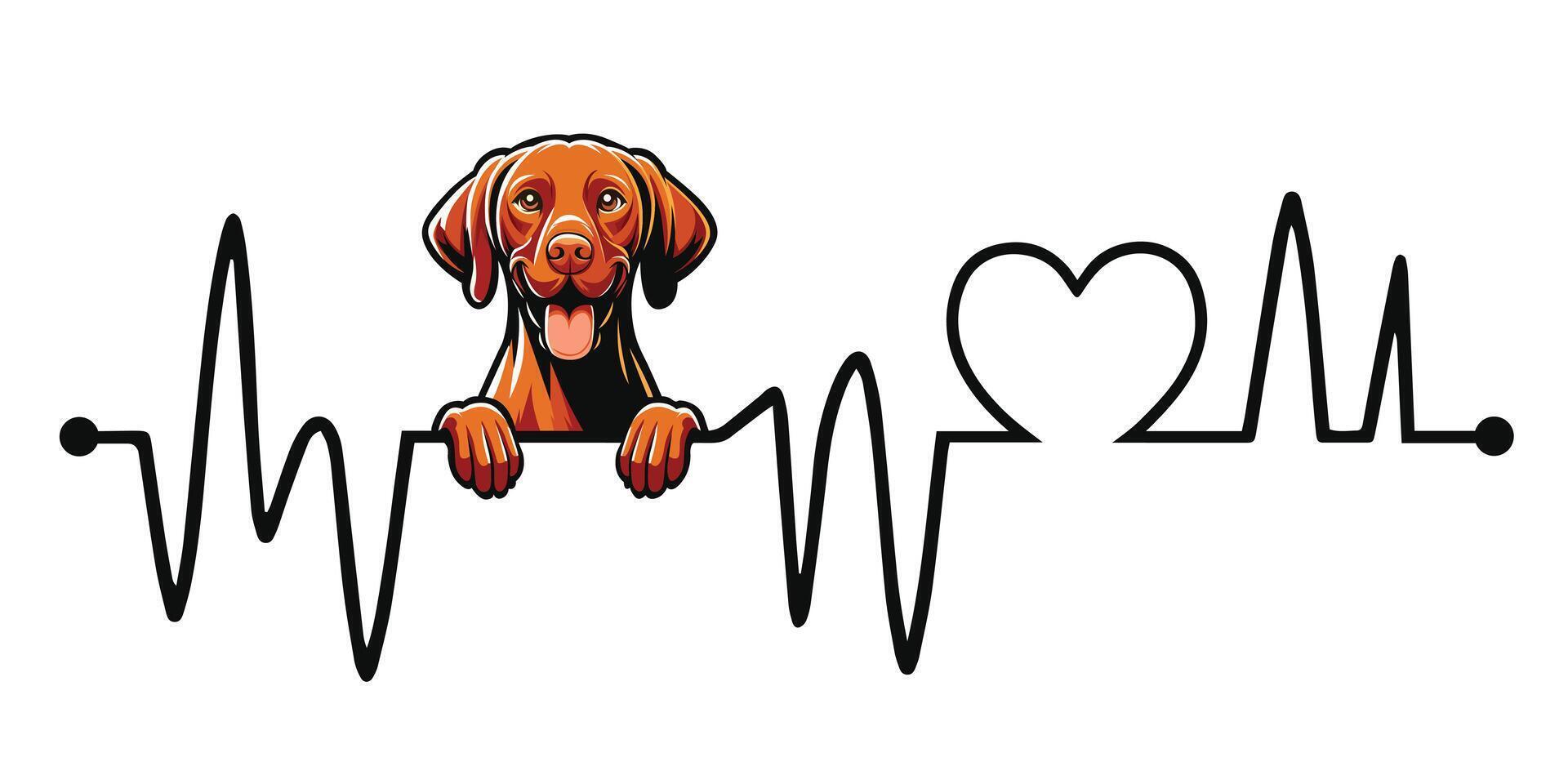 Heartbeat line with Vizsla Dog Peeking - Dog and Cardiogram wave with Heart Love isolated illustration vector