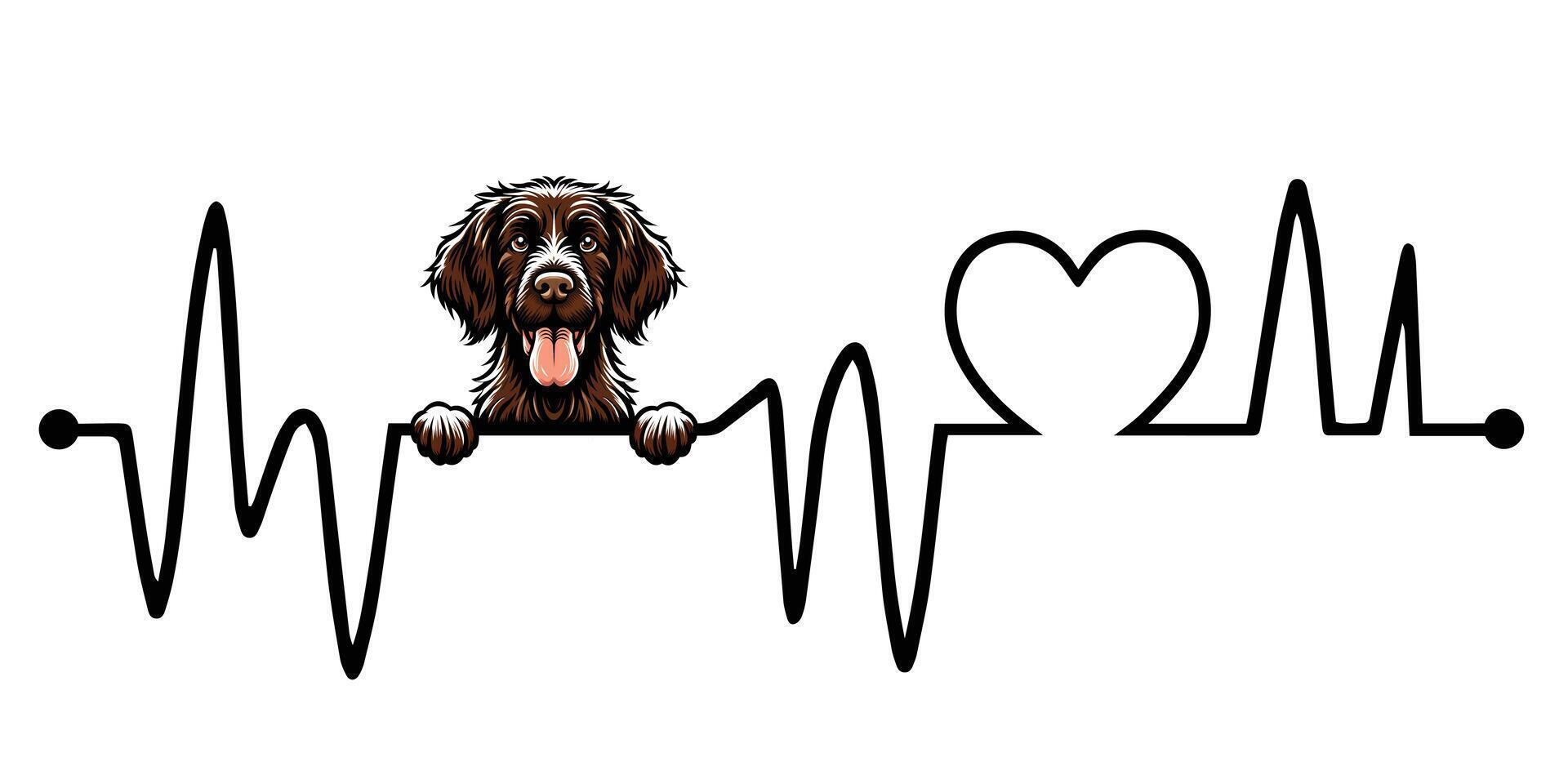 Heartbeat line with German Wirehaired Pointer Dog Peeking - Dog and Cardiogram wave with Heart Love isolated illustration vector