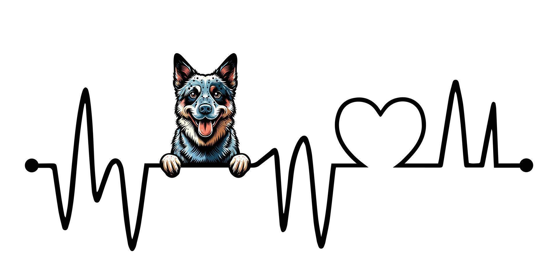 Heartbeat line with Australian Cattle Dog Peeking - Dog and Cardiogram wave with Heart Love isolated illustration vector