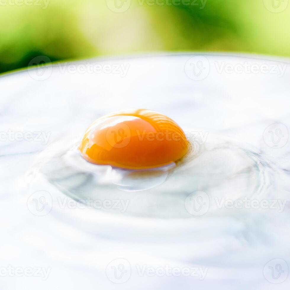 egg yolk on marble - recipe ingredients and homemade cooking concept photo