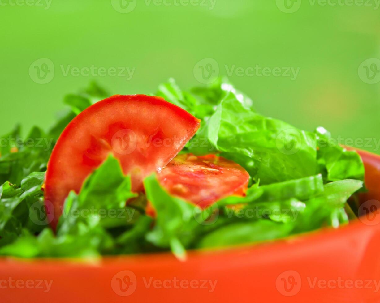 green vegetarian salad - diet and healthy eating recipes styled concept photo