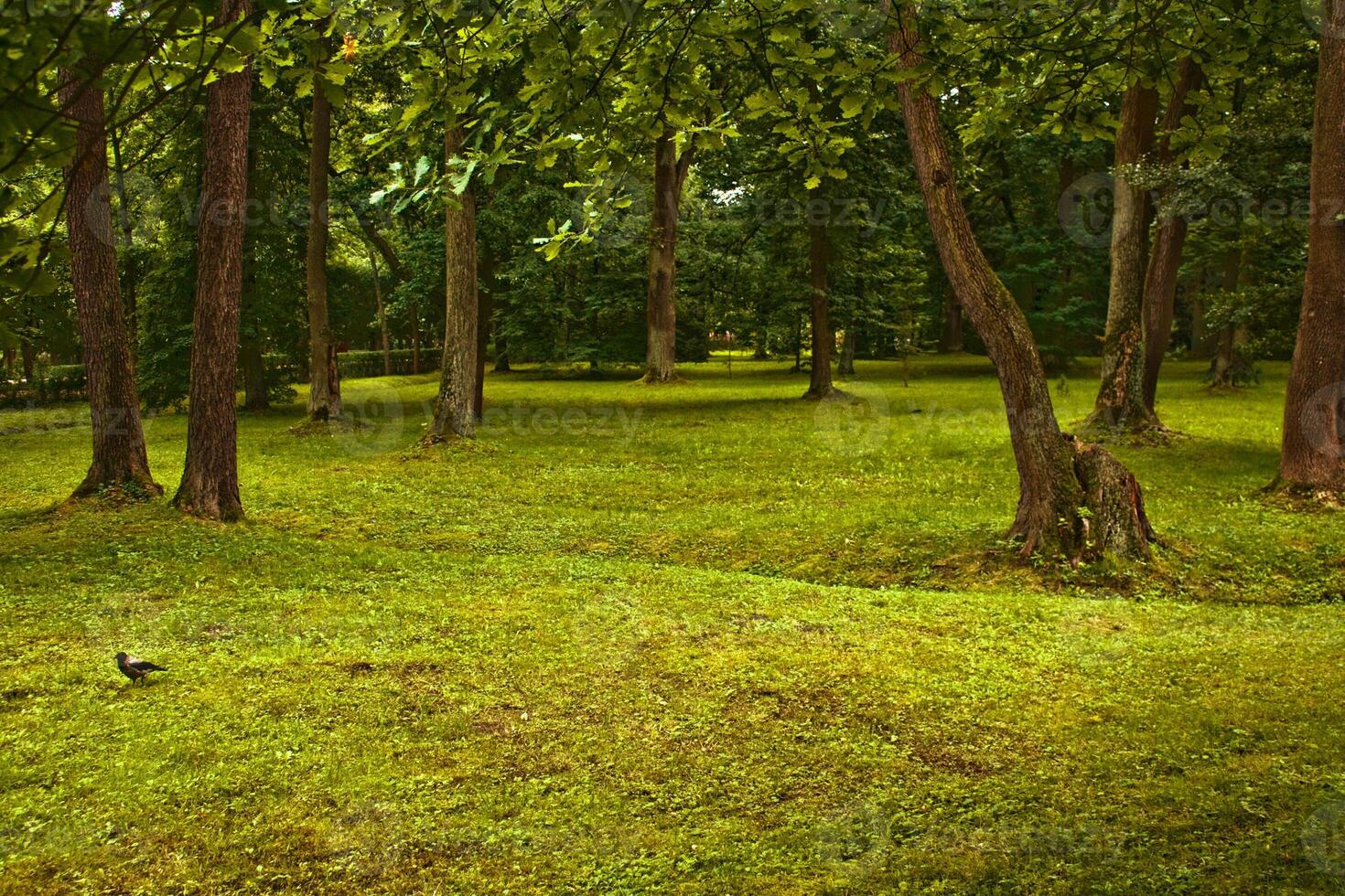fall scenery, beauty of autumn - nature and environment concept photo