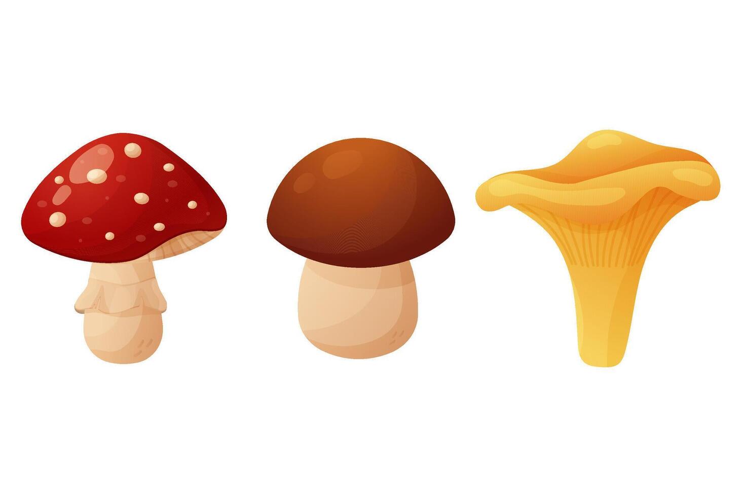 A set of autumn elements. Mushrooms, boletus, fly mushroom and chanterelle. Isolated on white background. vector