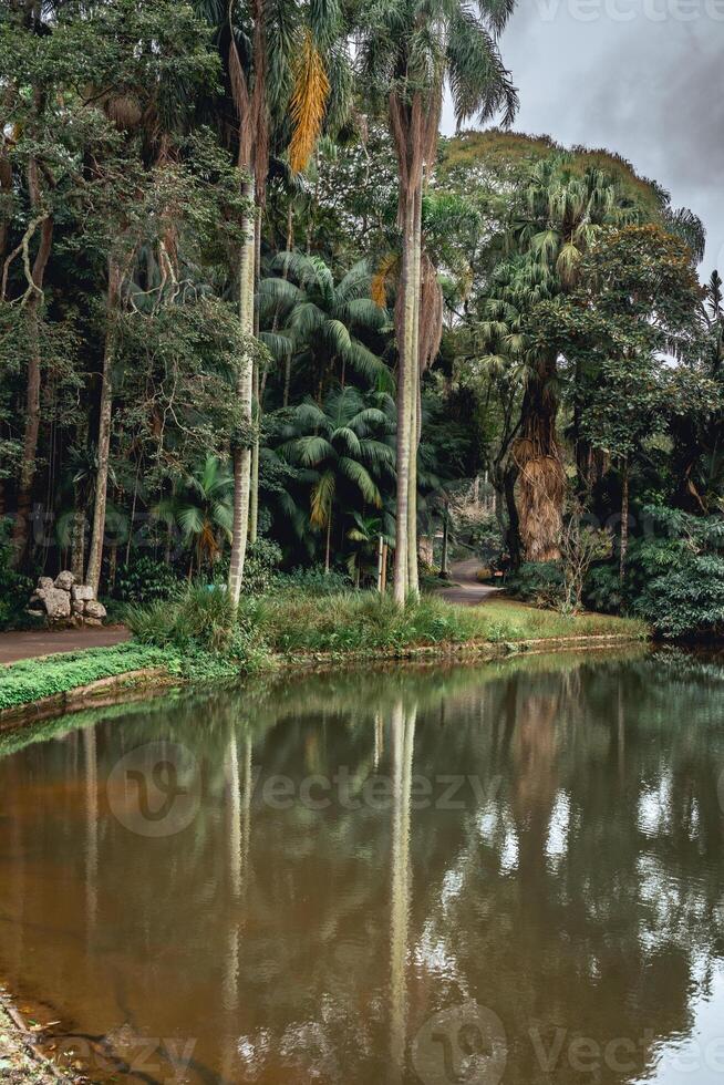Jardim Botanic Garden. Beautiful park in Sao Paulo, Brazil. photo