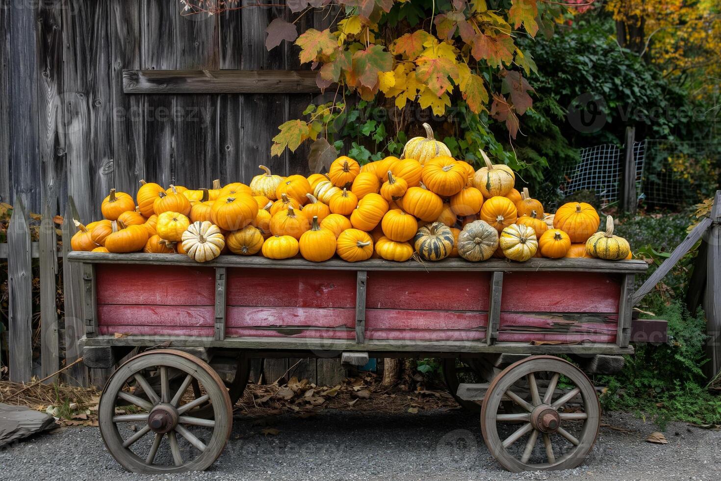 A vintage wagon filled with golden pumpkins, highlighting the rustic abundance of harvest season photo