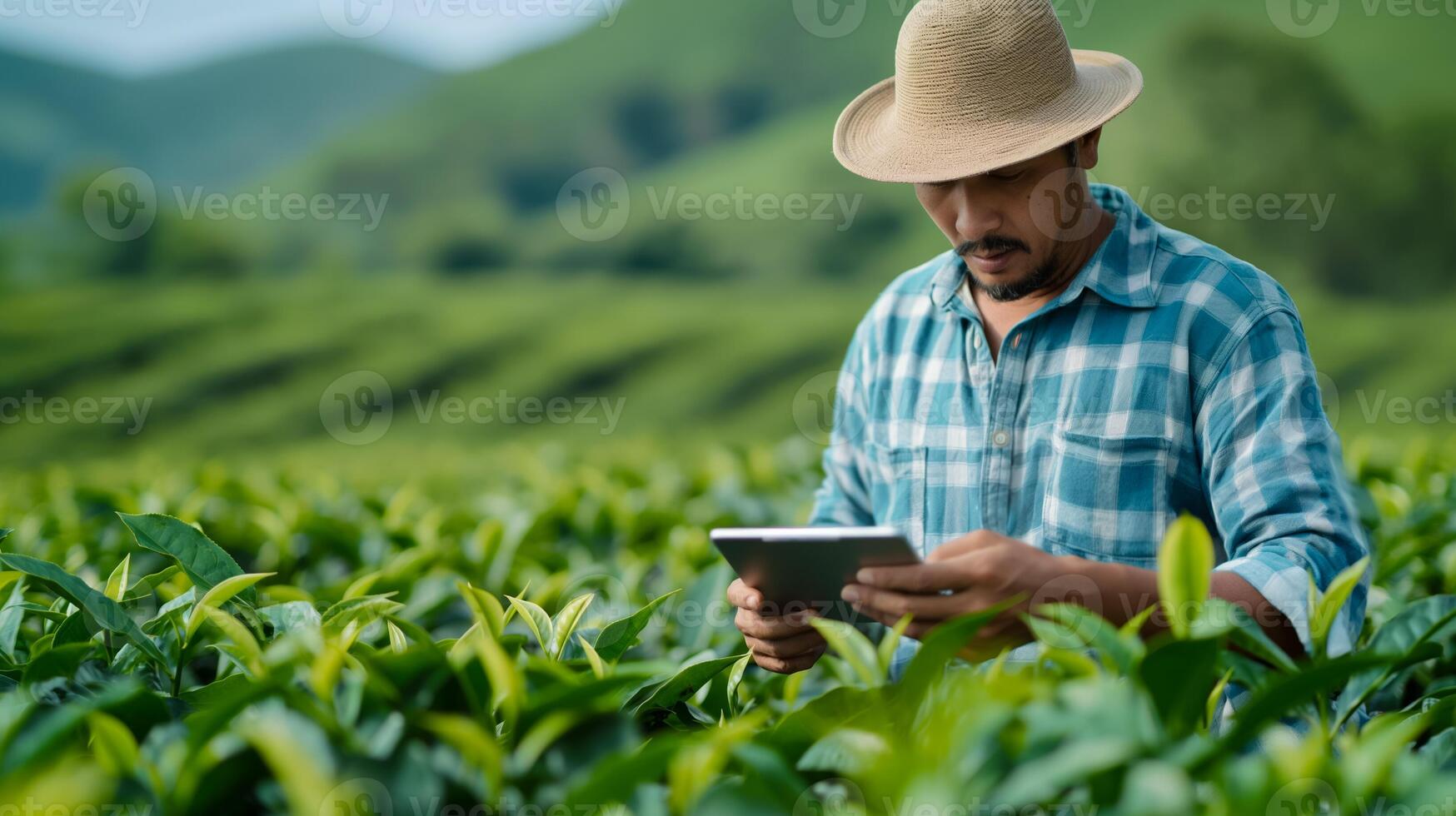 Young farmer using AI enhanced analytics for irrigation optimization in a lush green tea plantation photo