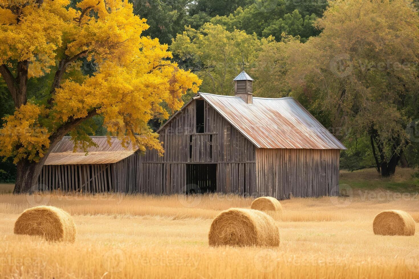 A rustic barn surrounded by golden hay bales, representing the quintessential harvest season in the countryside photo