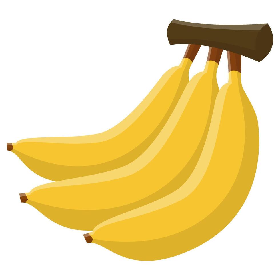 Banana Fruit Illustration vector