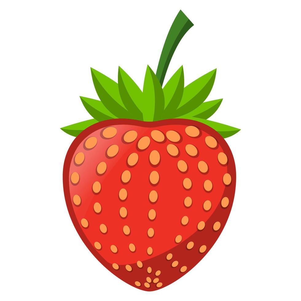 Strawberry Fruit Illustration vector