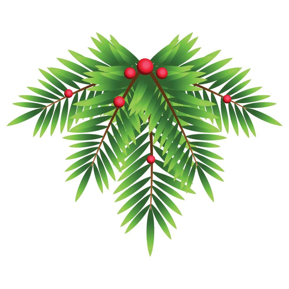 Christmas Fir Branch Decoration vector