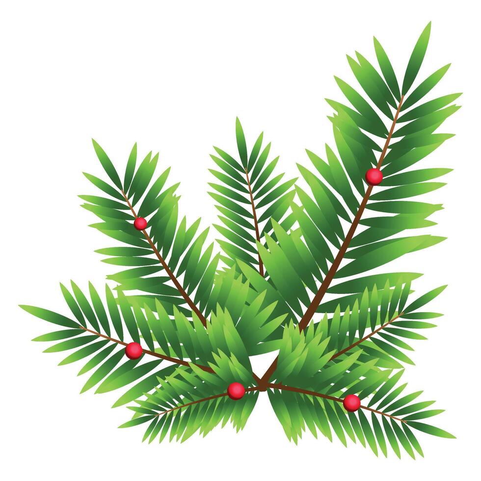 Christmas Fir Branch Decoration vector