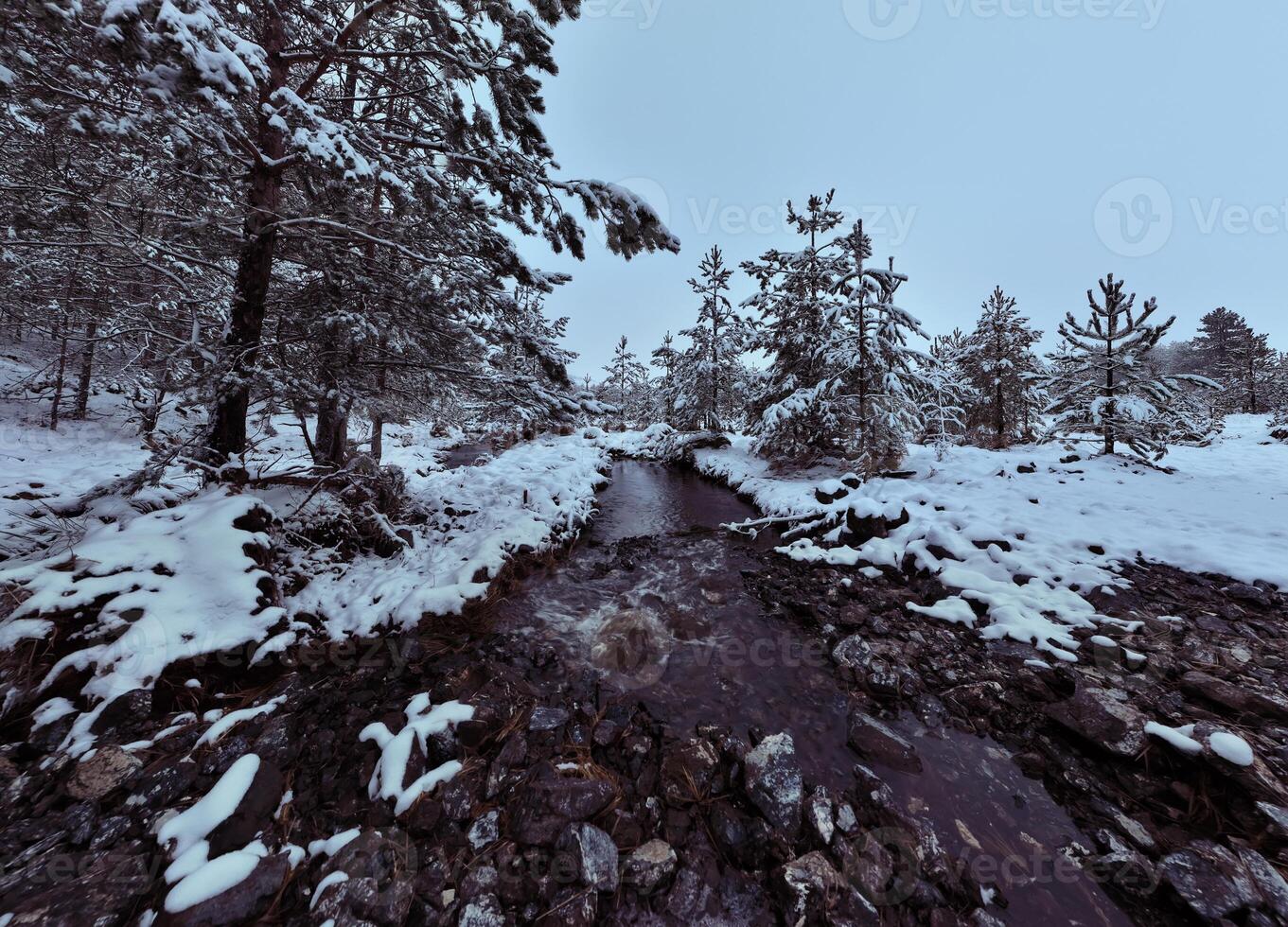 Amazing Cinematic Aerial View On Freezing River. Aerial View Flight Above Frozen Creek Scenic View Of Nature photo