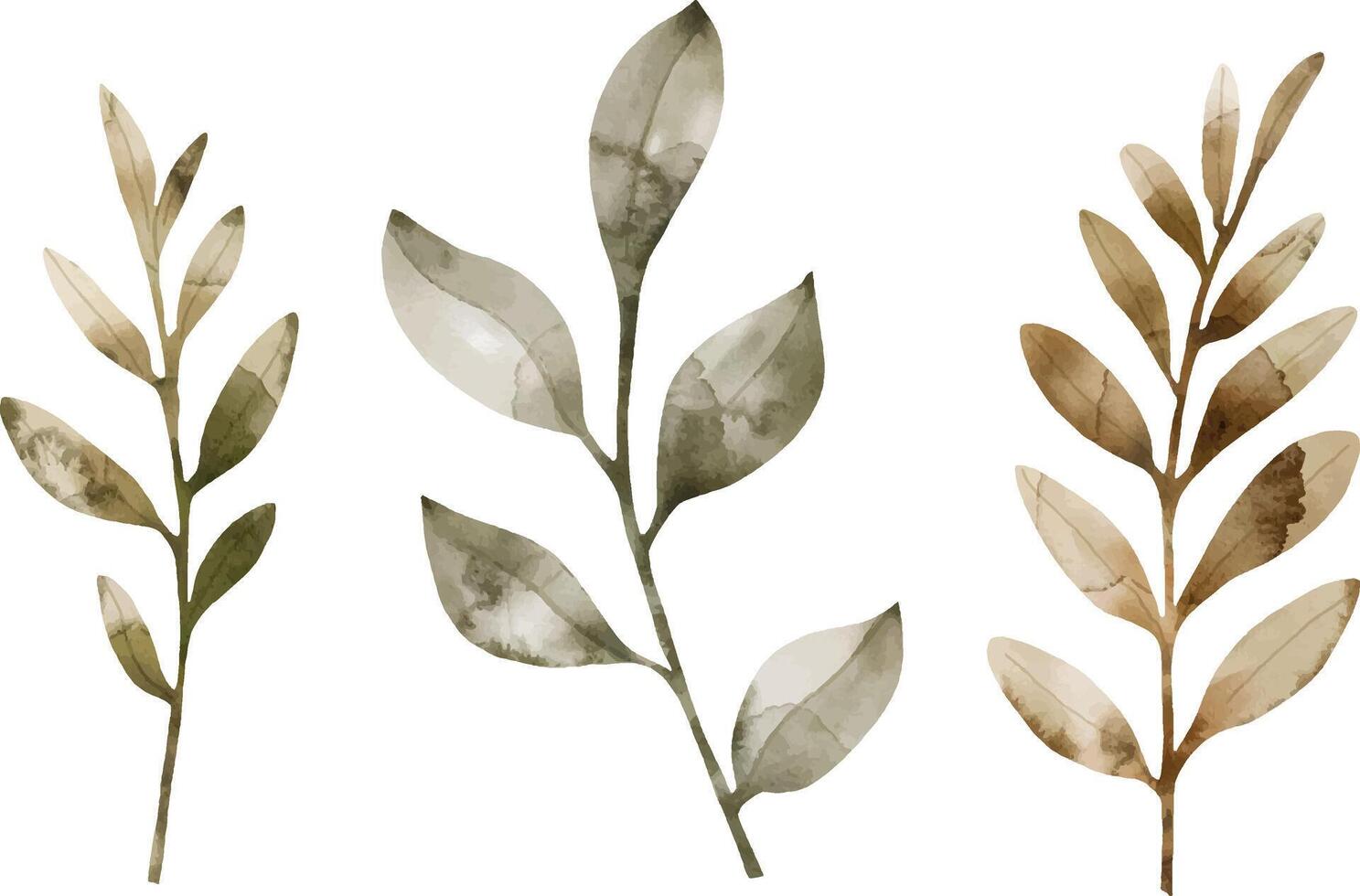 Leaves Watercolor set, Hand drawn illustration. vector