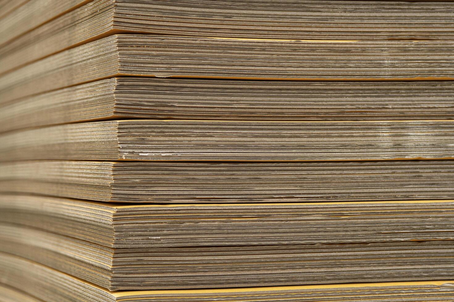 Cardboard, texture, background for graphics It is factory made cardboard waiting to be packed. photo