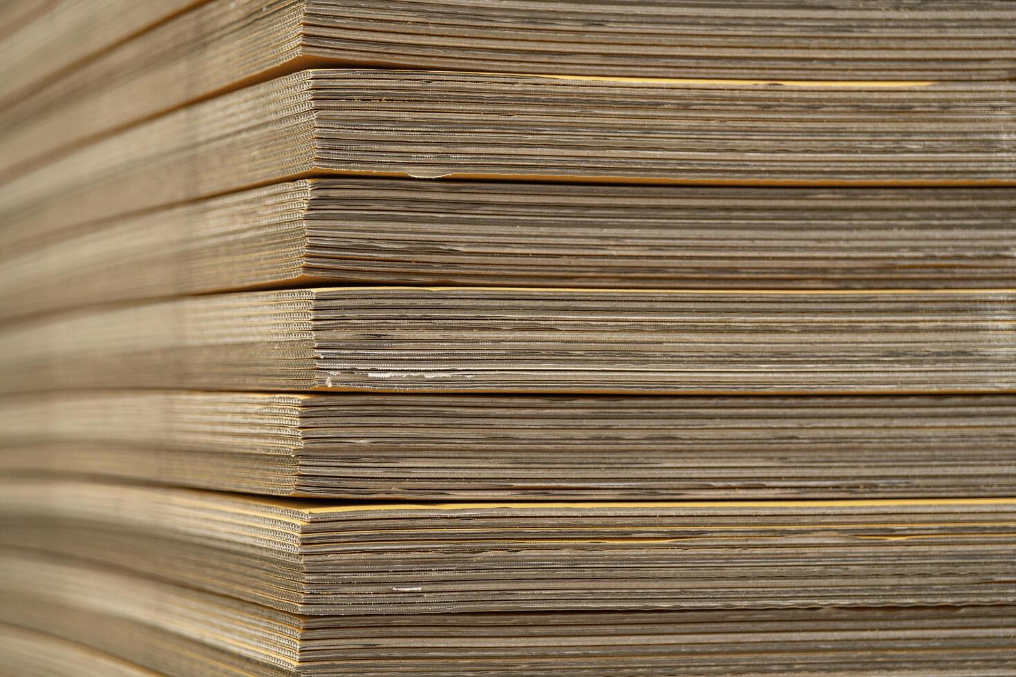 Cardboard, texture, background for graphics It is factory made cardboard waiting to be packed. photo