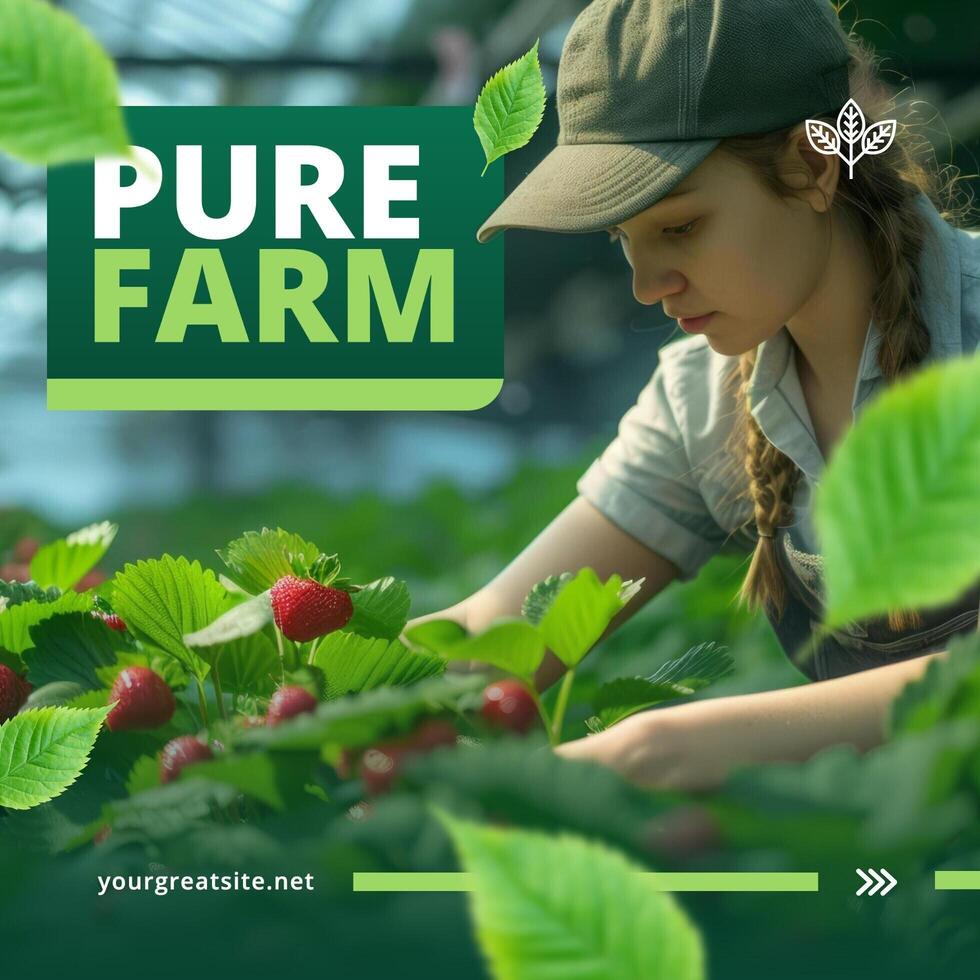 About Company Linkedin Post Template