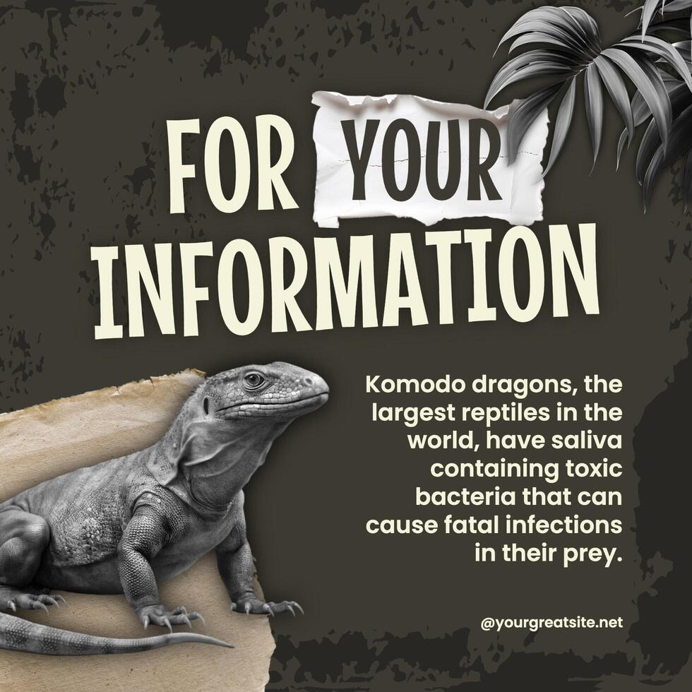 Komodo Knowledge FYI linkedin Post template