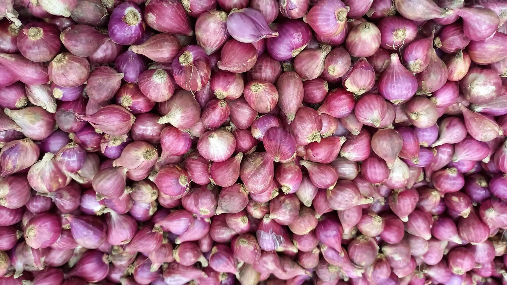 A photo of red onions is suitable for the background
