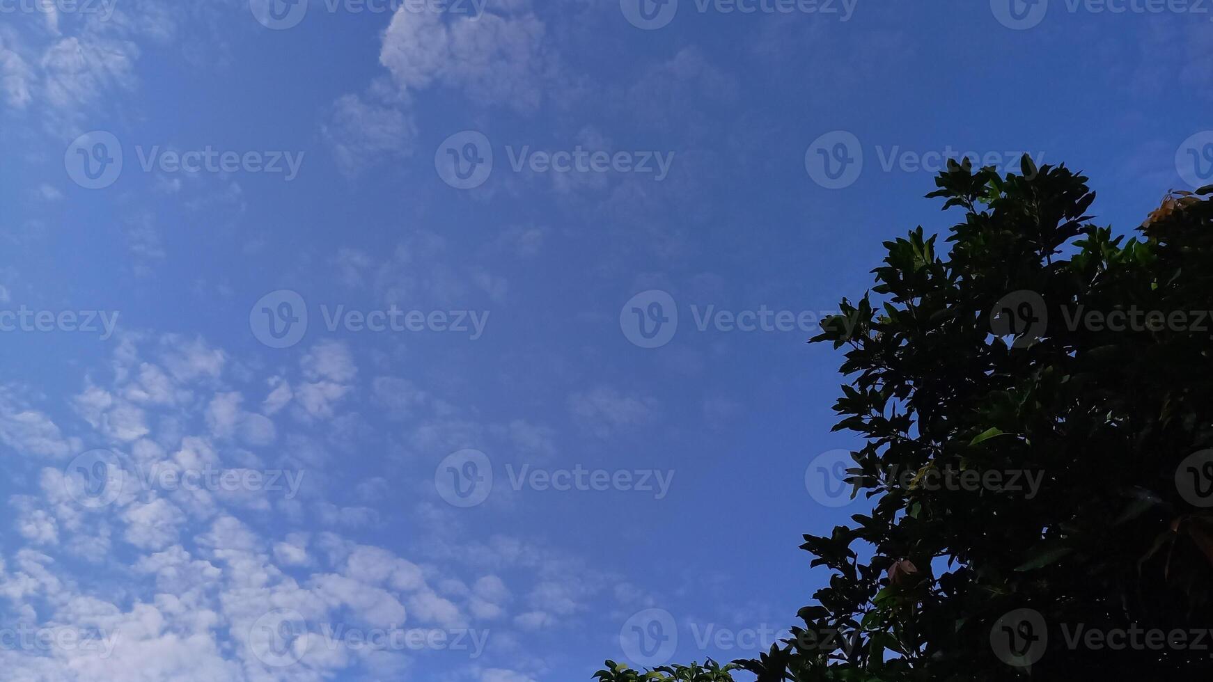 A photo of a blue sky with white clouds is suitable for the background