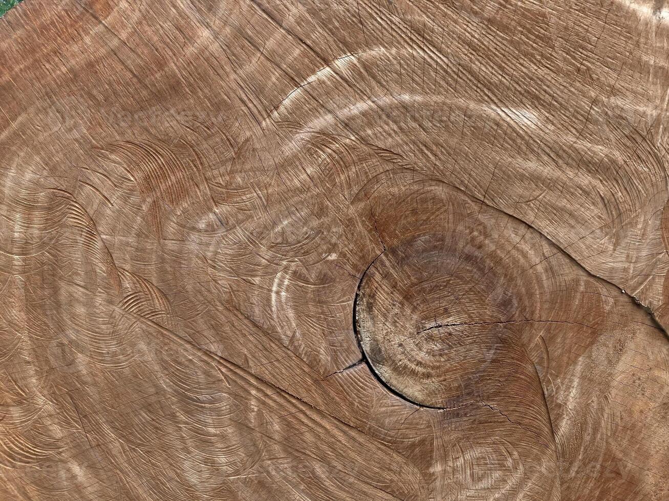 A tree ring pattern on a cut trunk, natural abstract texture photo