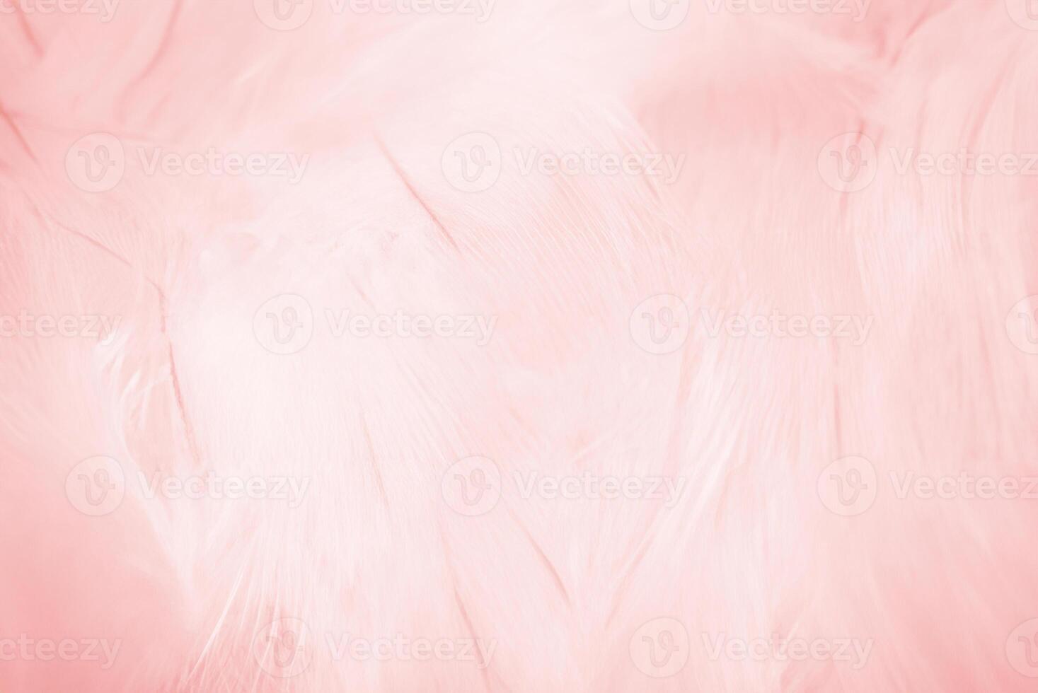 Soft Pink Feather Pattern Texture, Elegant Abstract Background photo