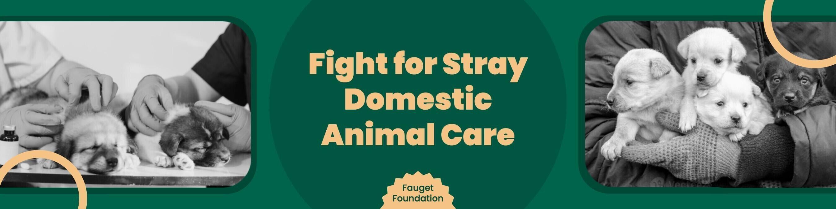 Green Animal Care Foundation Linkedin Banner template