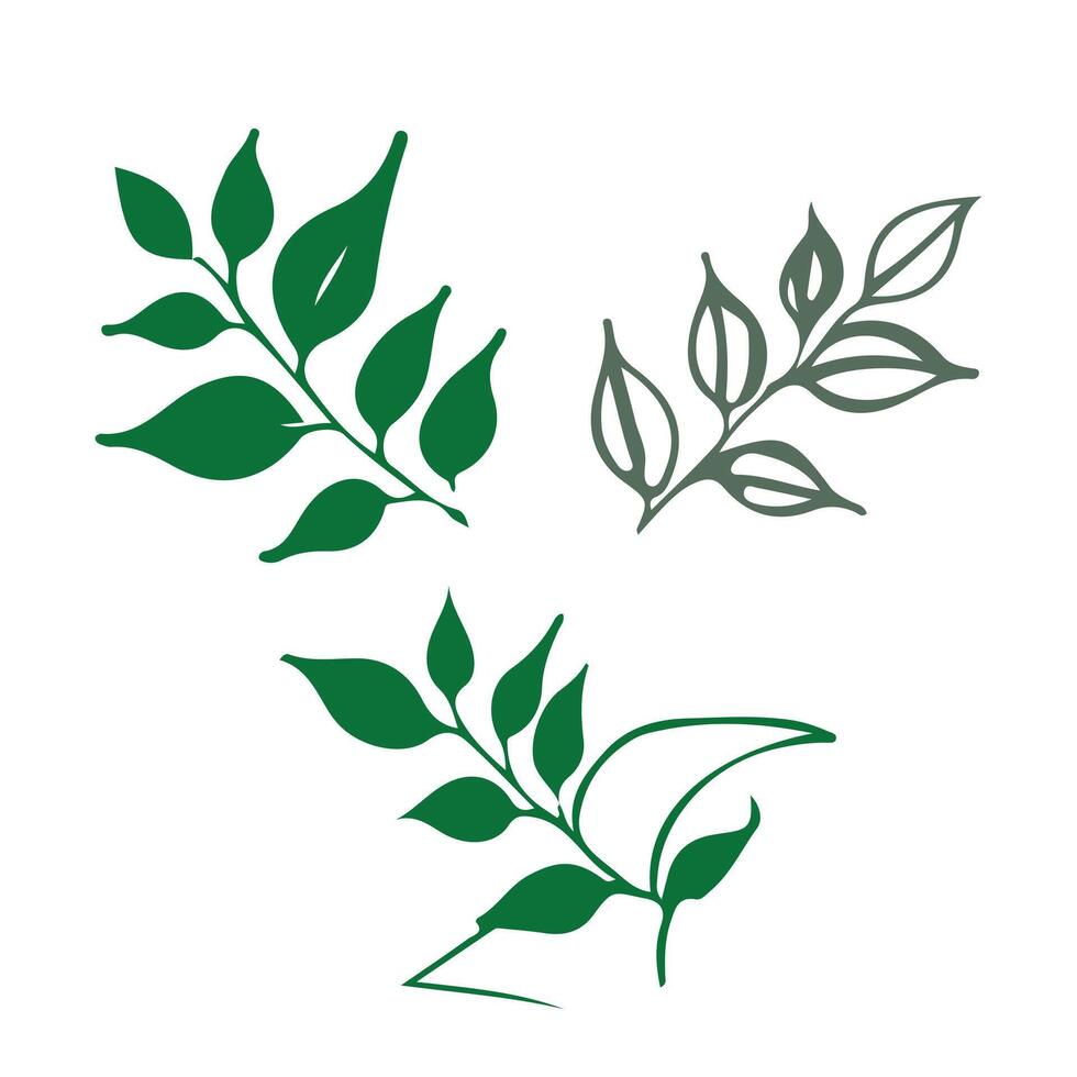 Leaf Vectors Illustration