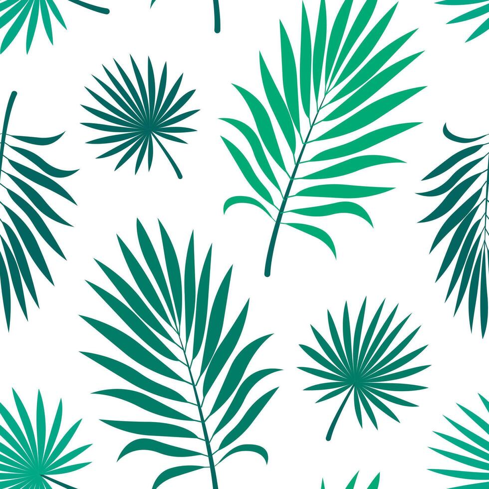 Seamless pattern of tropical palm leaf. Green leaves on white background vector