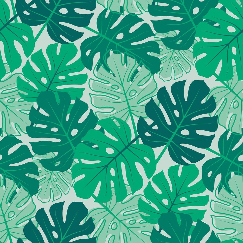 Seamless pattern of monstera leaves. Green tropical leaf floral background in flat style vector