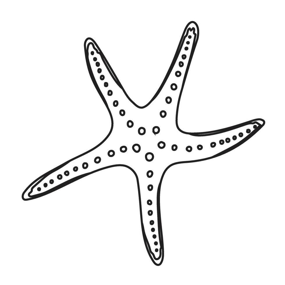 Starfish illustration. Hand drawn sea Star Fish. Linear Drawing of seashell for design in nautical style. Outline Sketch of marine seashore for icon or logo. Black etching vector