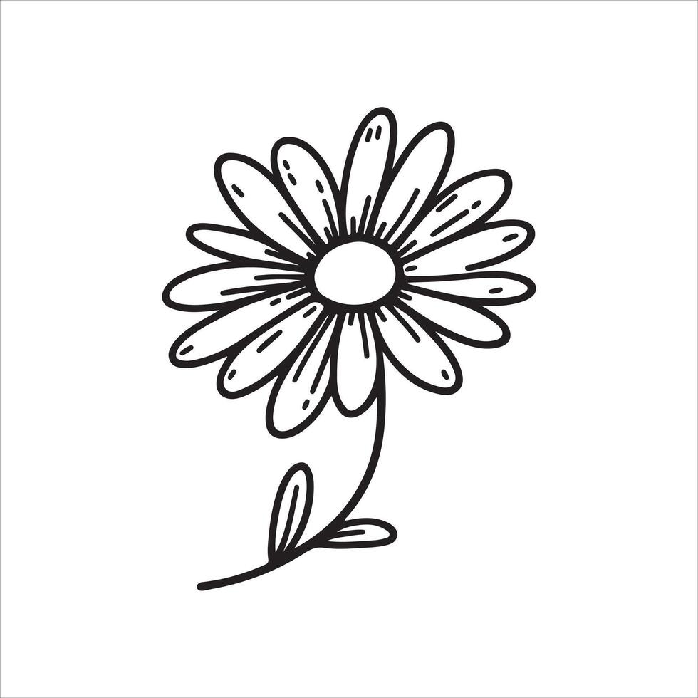 Daisy flower black silhouette isolated on a white background. vector