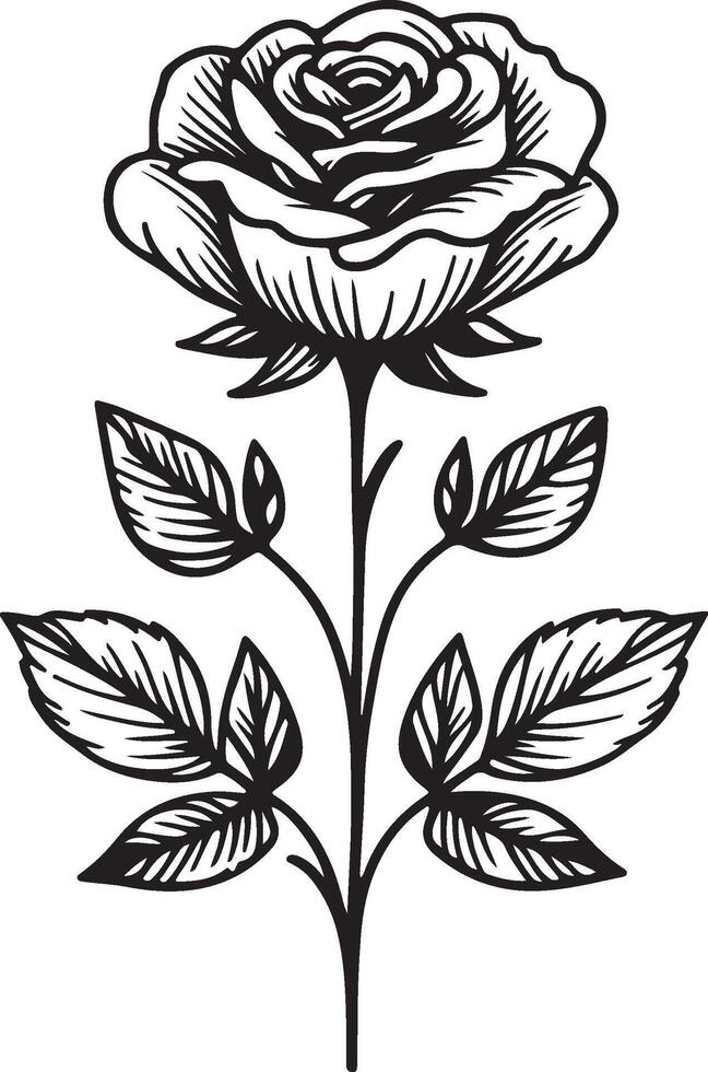 Black Rose Flowers vector