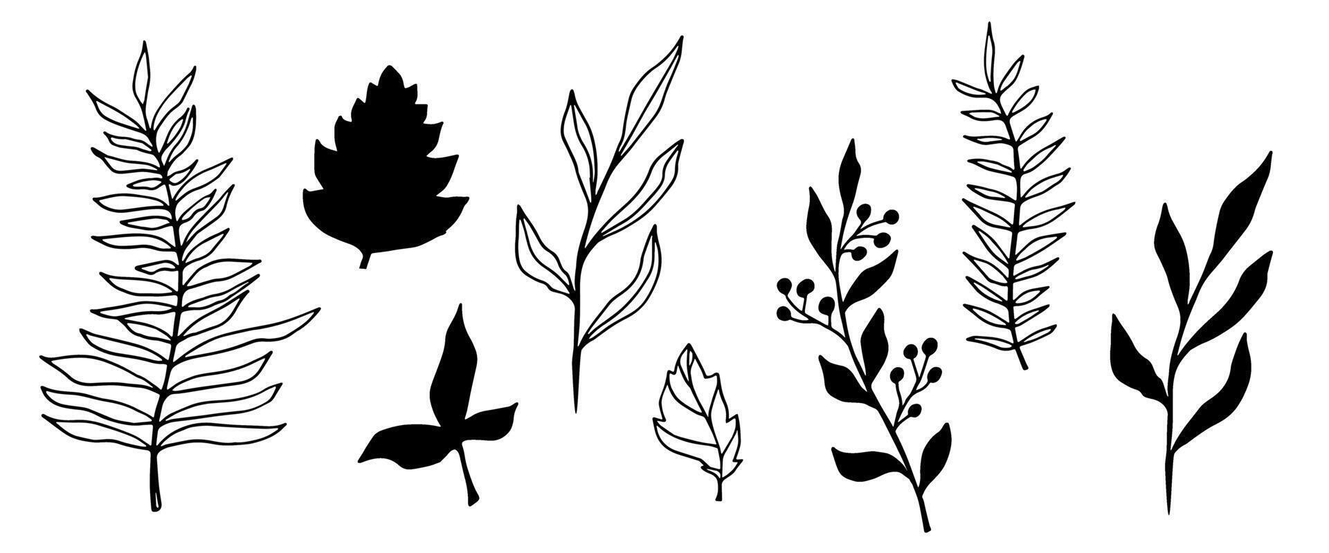 contour branch and leaves. Elegant branches. black silhouette and outline element with white background, editable. hand drawn monochrome botanical illustration, wedding cards, logo, tattoo vector