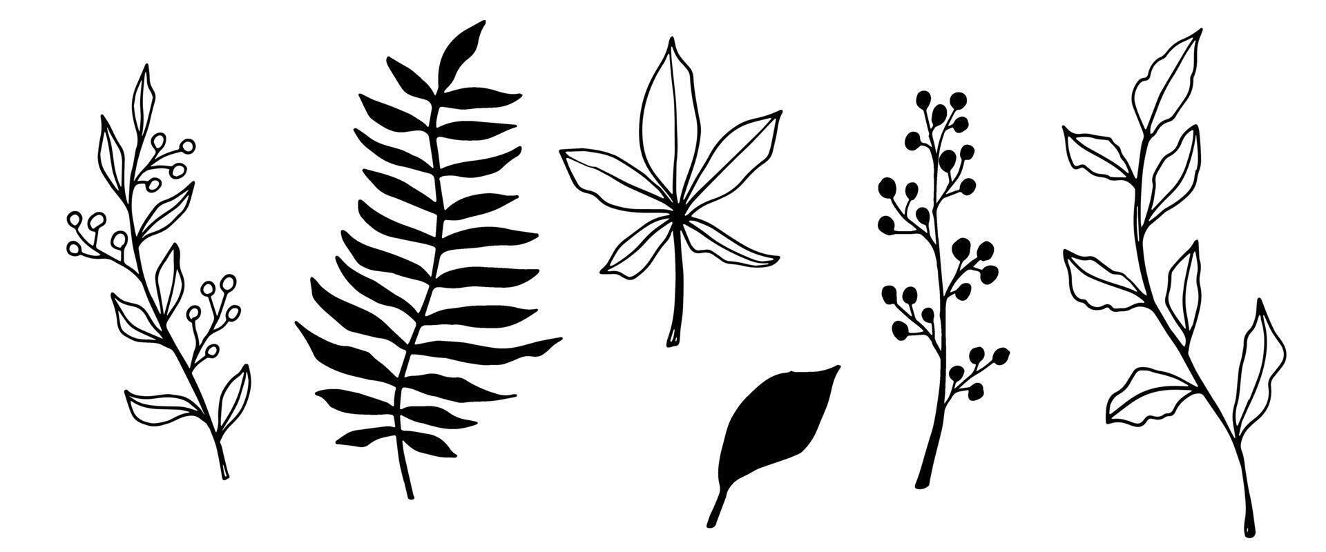 contour branch and leaves. Elegant branches. black silhouette and outline element with white background, editable. hand drawn monochrome botanical illustration, wedding cards, logo, tattoo vector