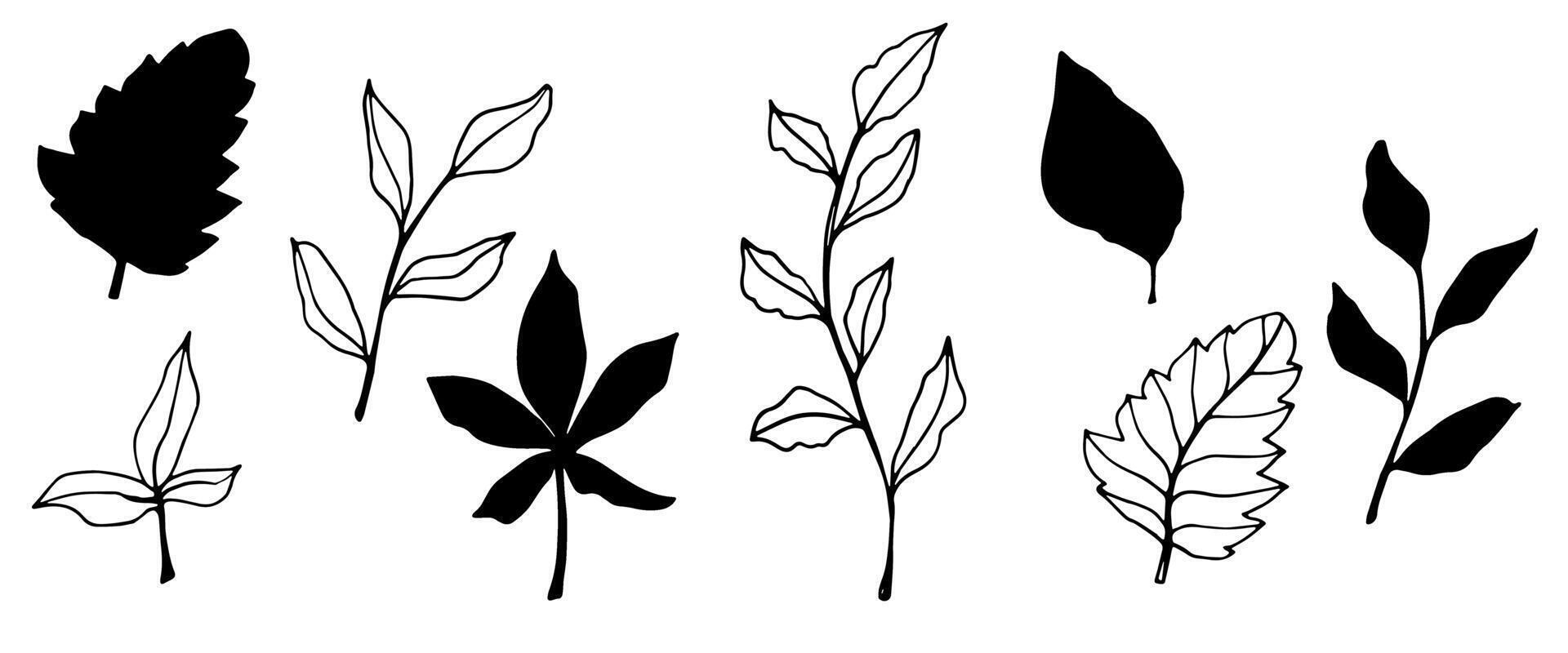 contour branch and leaves. Elegant branches. black silhouette and outline element with white background, editable. hand drawn monochrome botanical illustration, wedding cards, logo, tattoo vector