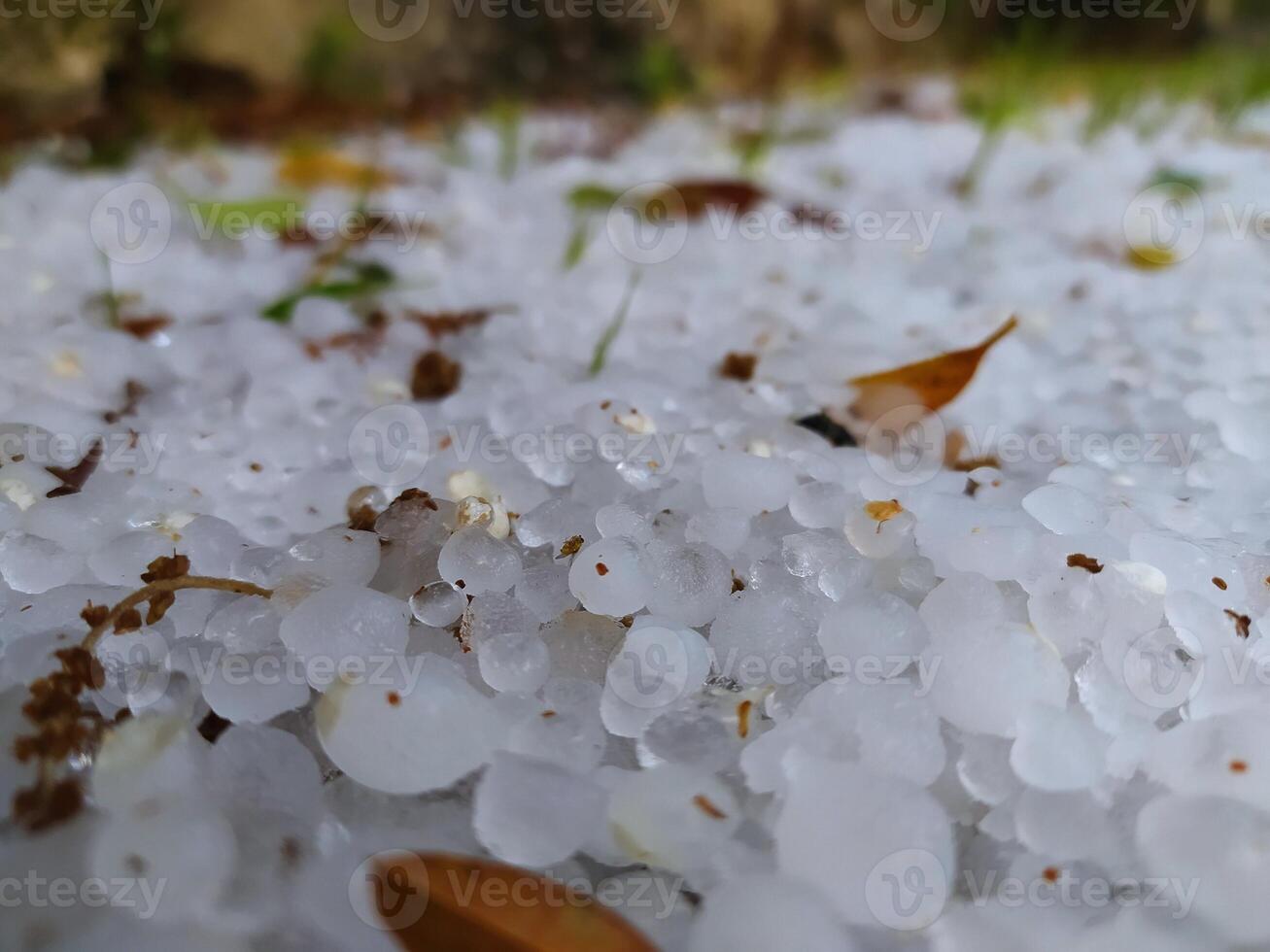 Hailstorm Havoc, Intense Weather Phenomenon Captured. photo