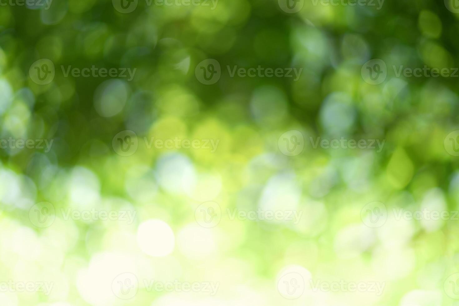 abstract green bokeh background photo
