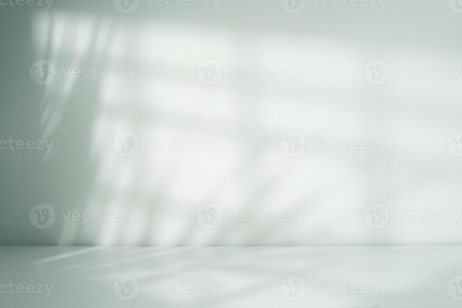 Blank wall with calm shadow for display photo