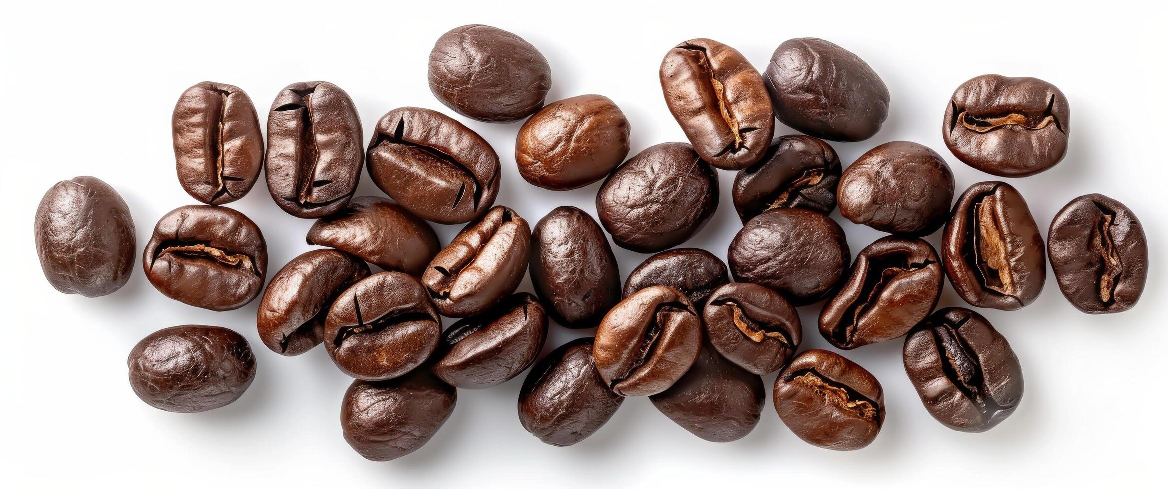 Eight Roasted Coffee Beans on a White Background photo