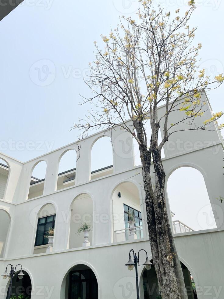 Angle shot of a 3 floors modern white building with large windows and large trees photo