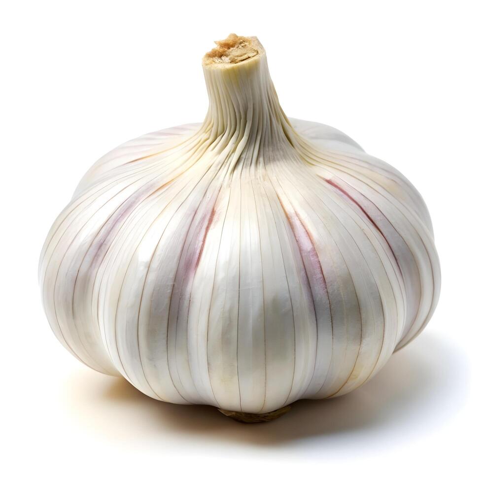 a garlic bulb on a white background photo