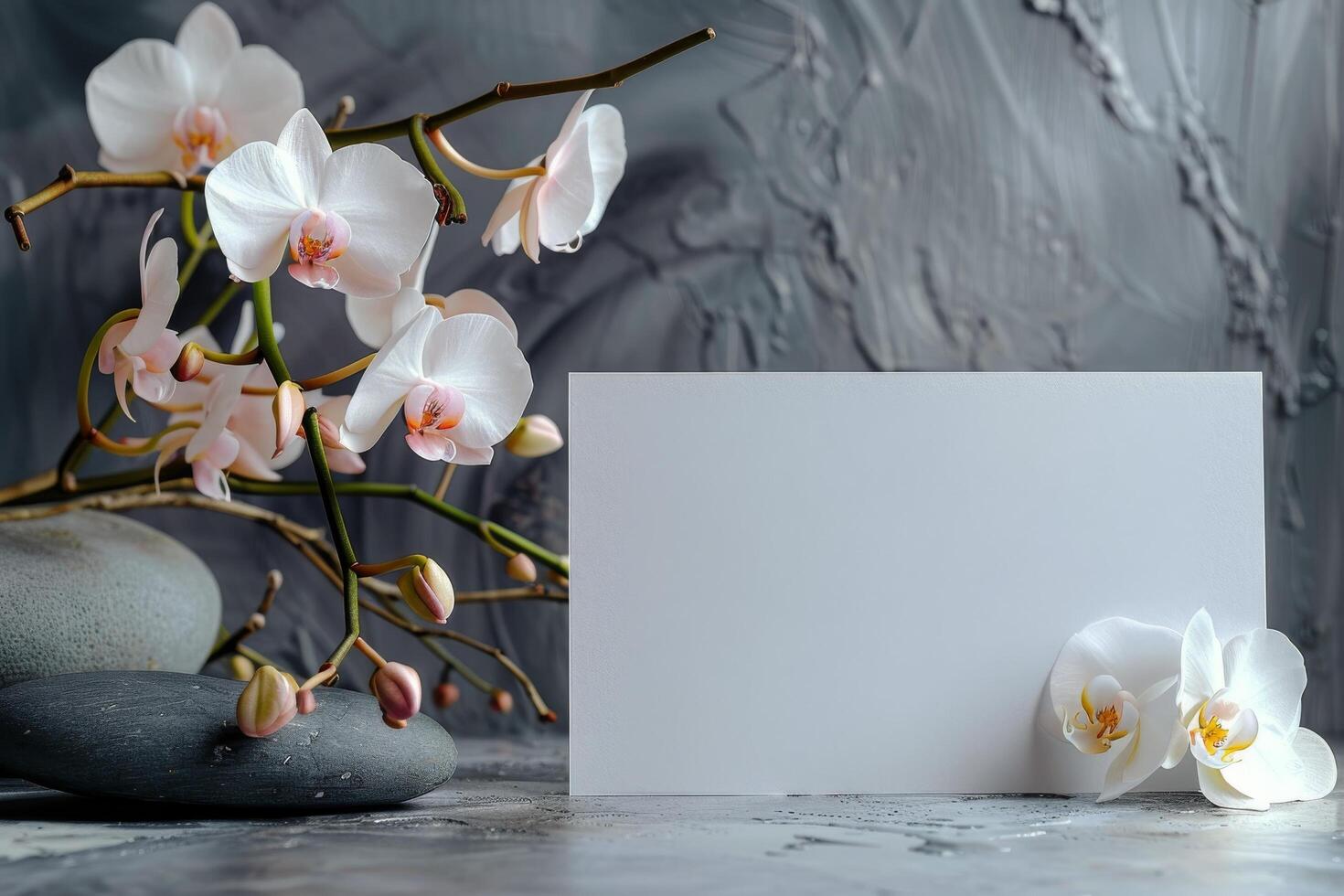 White Orchid Flowers and Blank Card on Grey Background photo