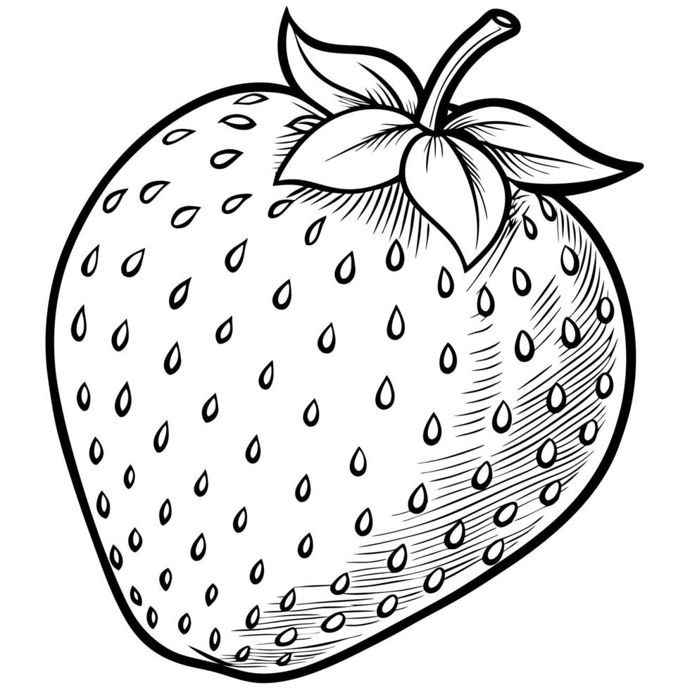 strawberry coloring pages free printable coloring pages vector