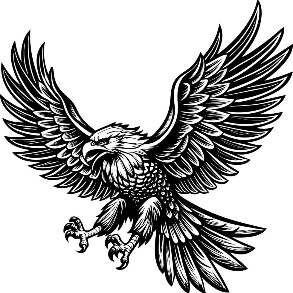 eagle flying black and white vector