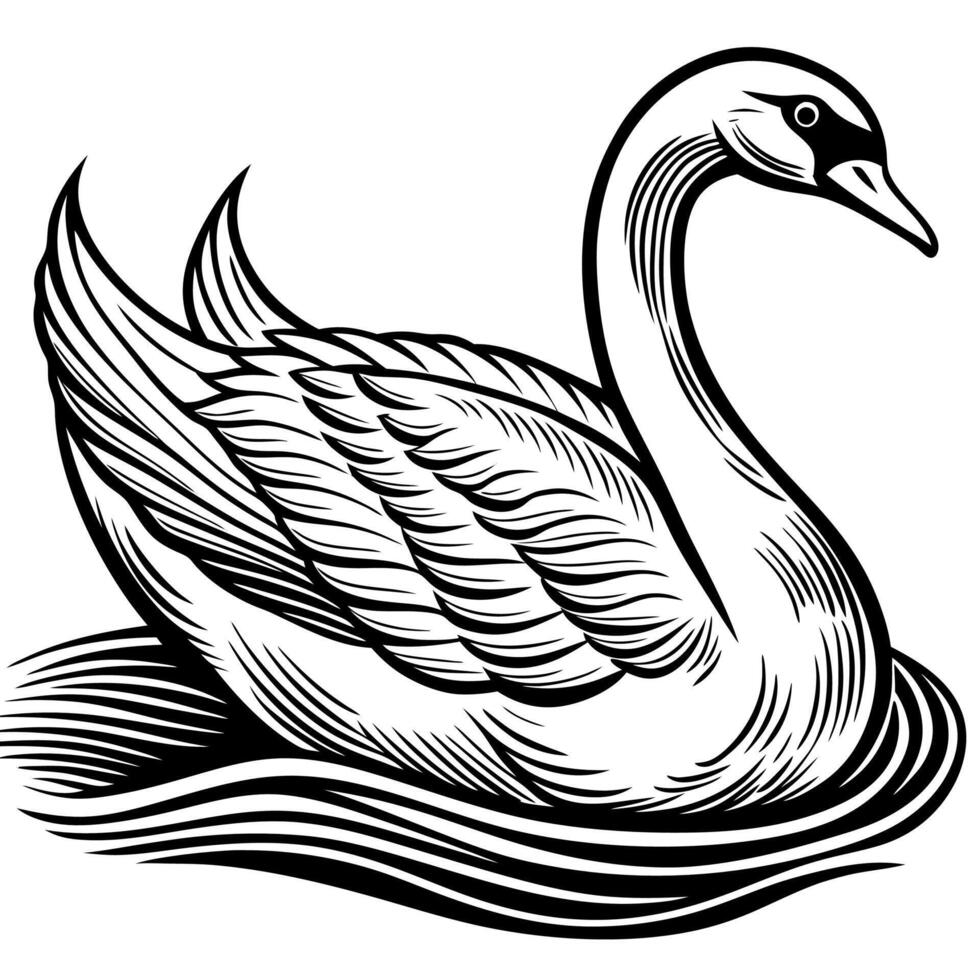 a black and white drawing of a swan vector