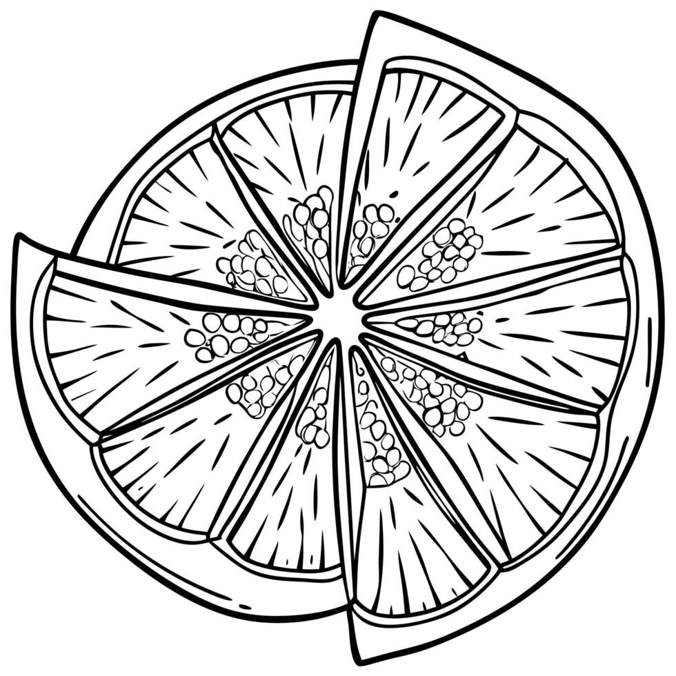 a black and white drawing of a slice of orange vector