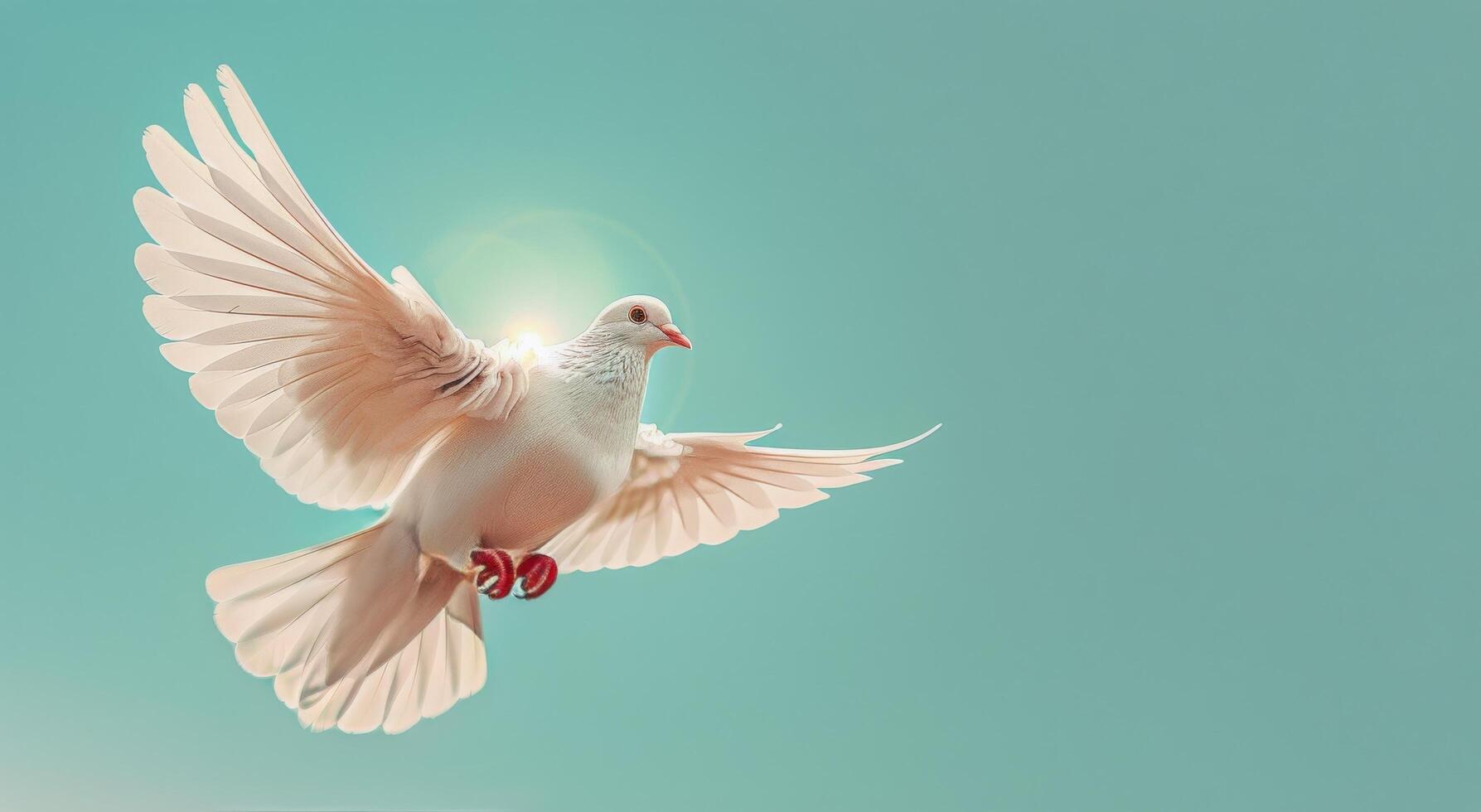 White Dove Soaring in a Blue Sky photo